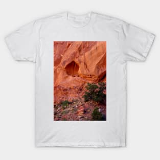 Capitol Reef National Park, Utah T-Shirt